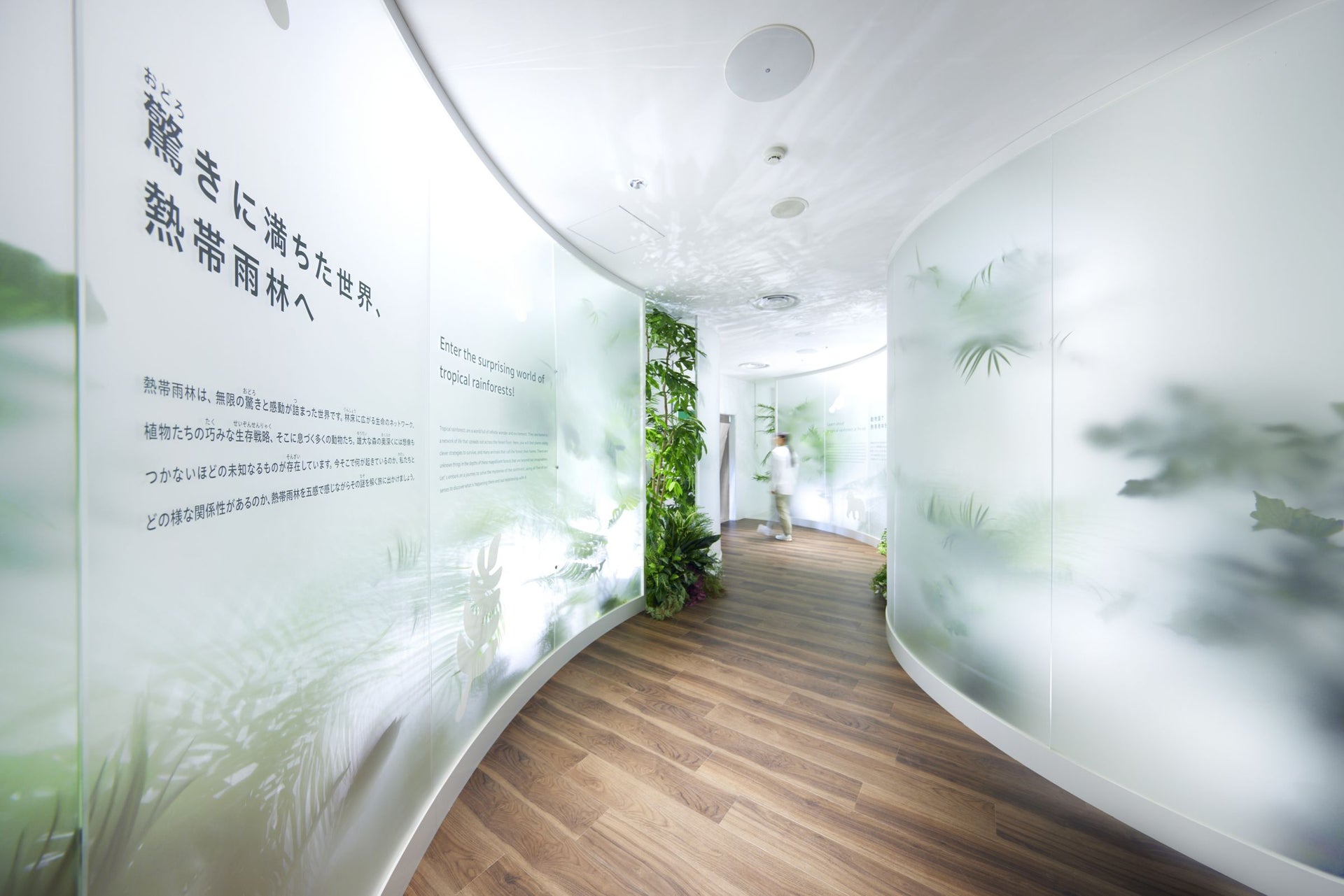 千葉市動物公園　動物科学館　－生命の森 熱帯雨林  Wonder of Rainforestー4